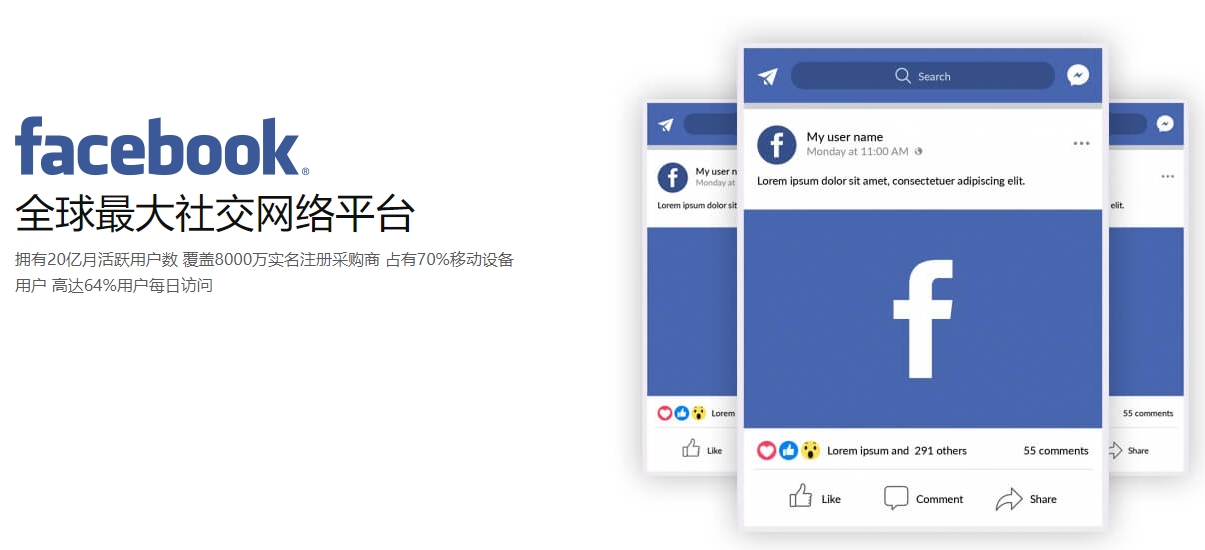 绵阳海外社交媒体营销  第1张